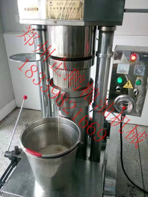 想創業來企鵝，企鵝專業的榨油機廠家(圖1)