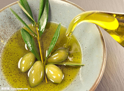 企鵝榨油機(jī)廠家說橄欖油的營養(yǎng)價值(圖2)