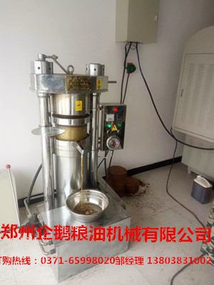 想在城市里開個榨油坊都需要哪些榨油設備(圖1) 想在城市里開個榨油坊都需要哪些榨油設備(圖1)
