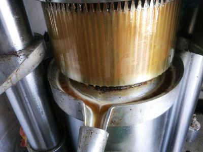 家用小型榨油機發現堵了怎么辦?(圖3) 家用小型榨油機發現堵了怎么辦?(圖3)