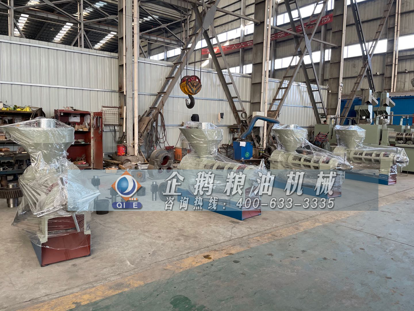 鄭州企鵝提供先進(jìn)冷榨亞麻籽榨油機(jī)(圖1) 亞麻籽榨油機(jī)