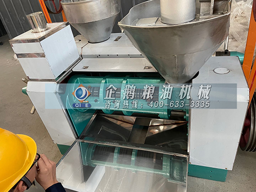 榨油機(jī) 榨油機(jī)